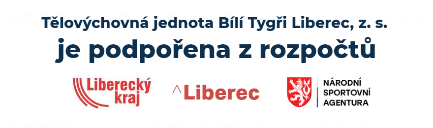 TJ podpořená