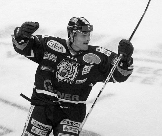 Sezóna 2003/04