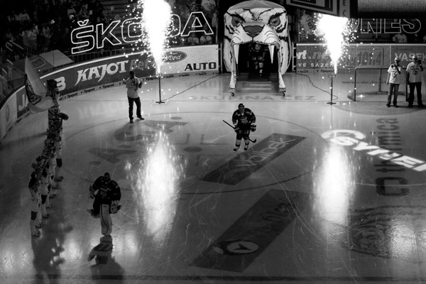 Sezóna 2007/08